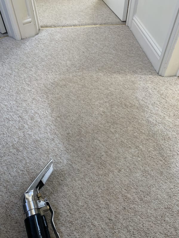 A carpet clean before & after