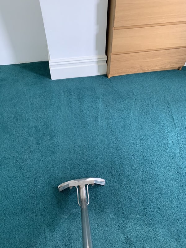 Carpet cleaning showing brushed up pile