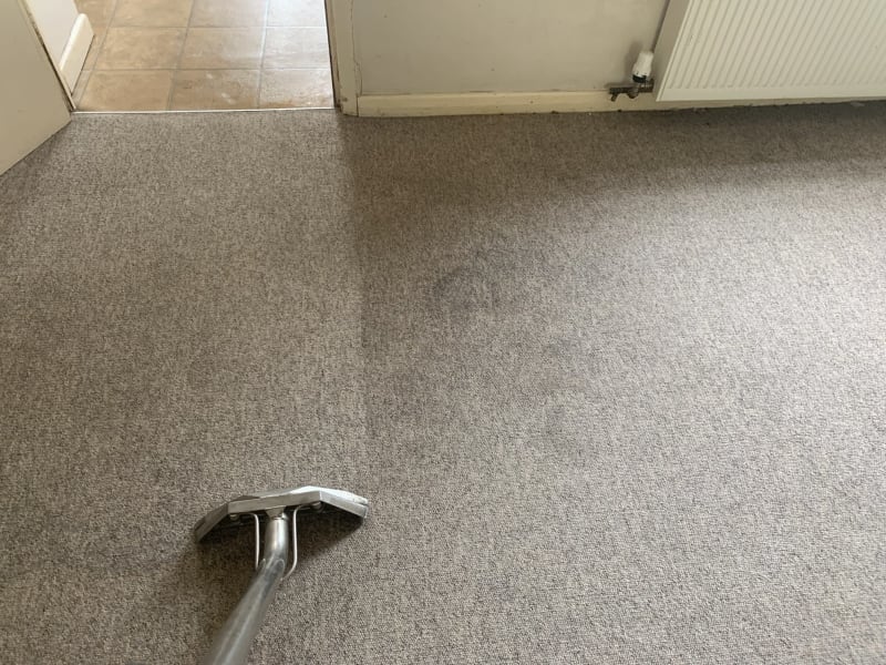 A carpet clean in progress